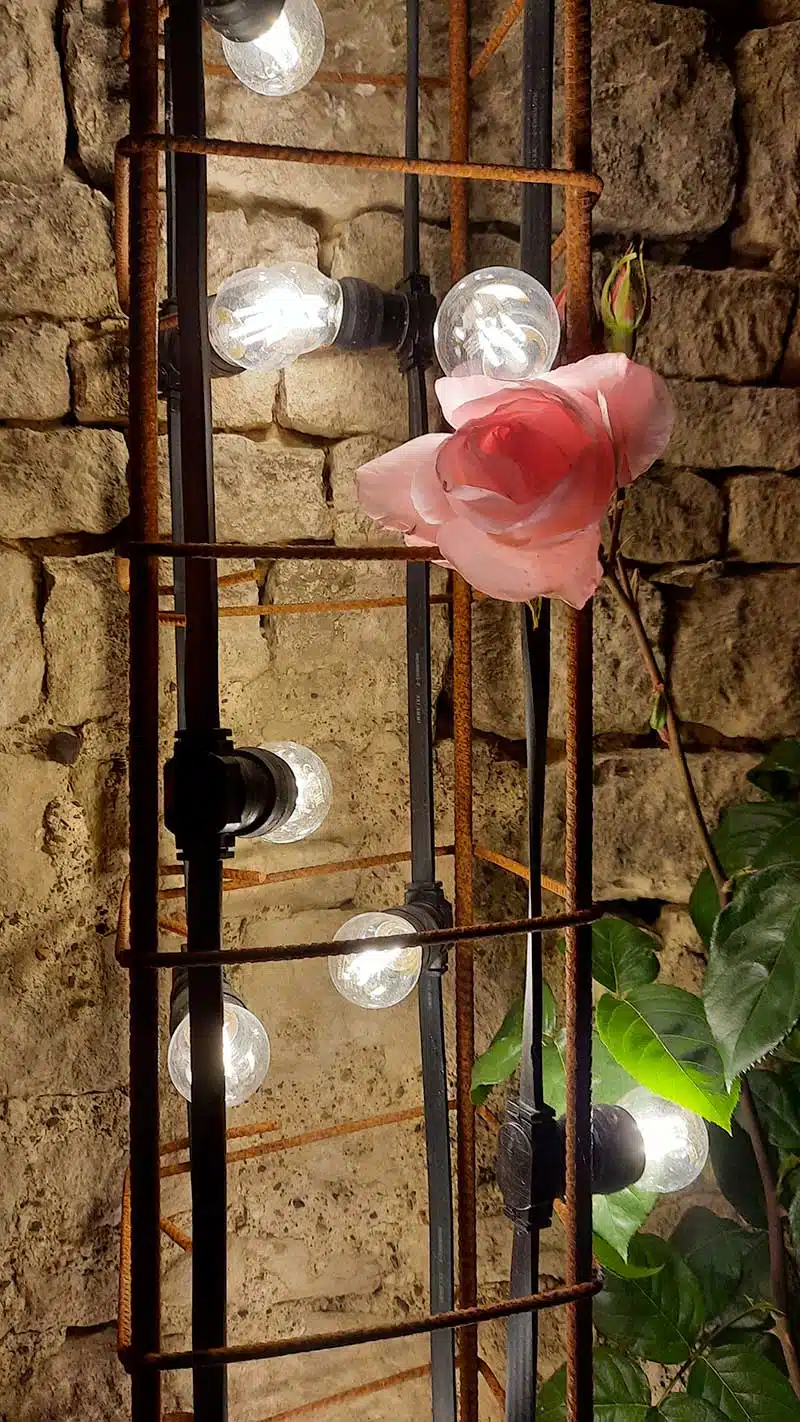 Jardin rose