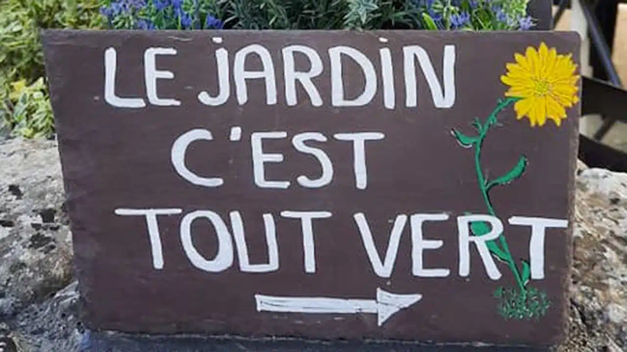 Le Jardin tout vert 2