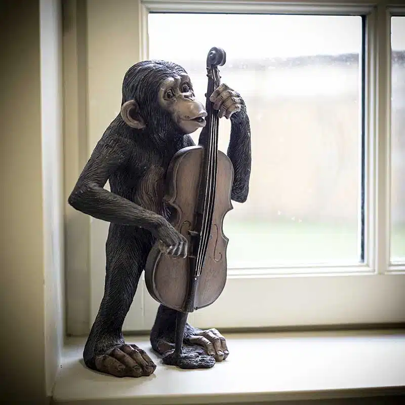 singe musicien